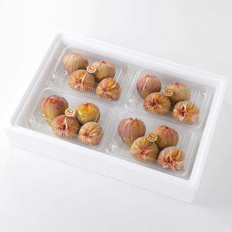 日本いちじく【4パック】〈茨木農園〉
