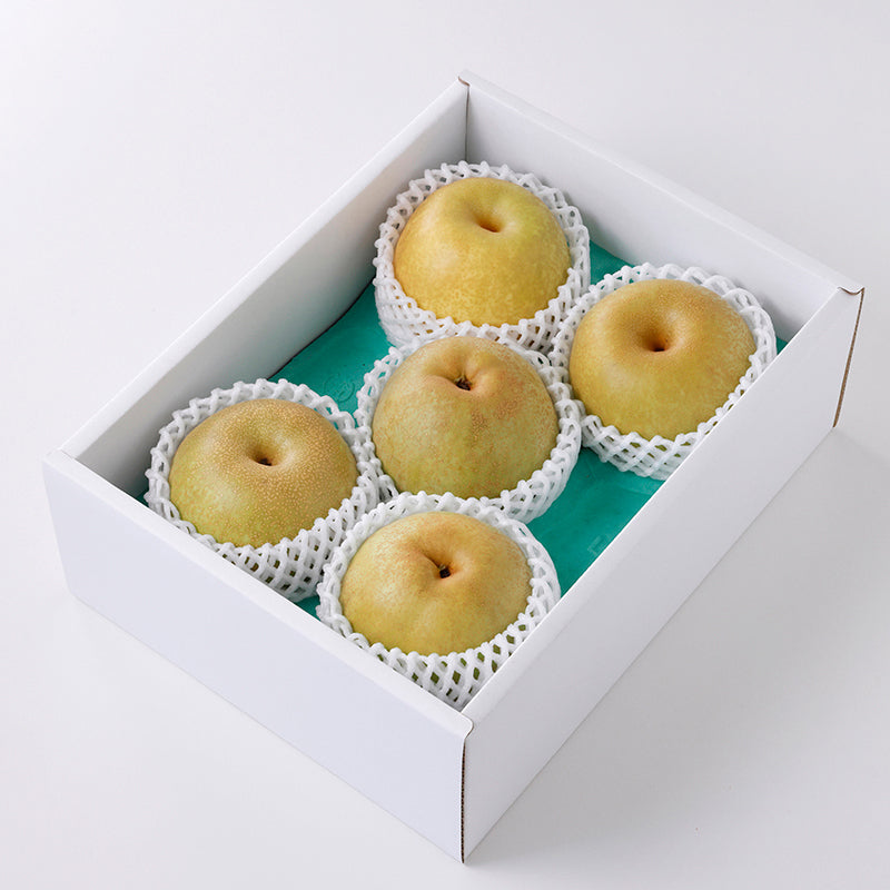 梨(新高)【2㎏】〈幸野観光なし園〉