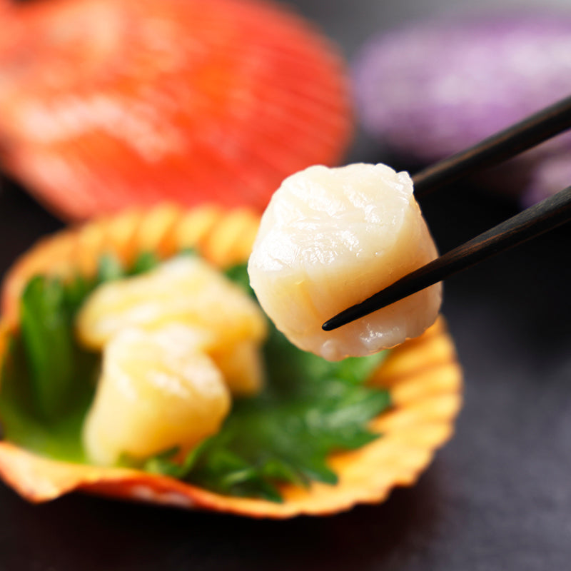 愛南ヒオウギ貝【20個/30個】〈愛南漁業協同組合〉予約・2026年1月中旬~順次発送