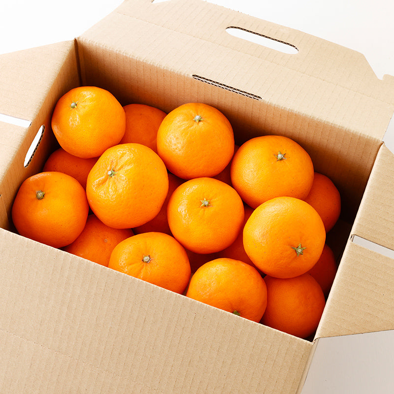 はれひめ【3㎏/5㎏/10㎏】予約・1月発送〈柑橘ソムリエ愛媛〉