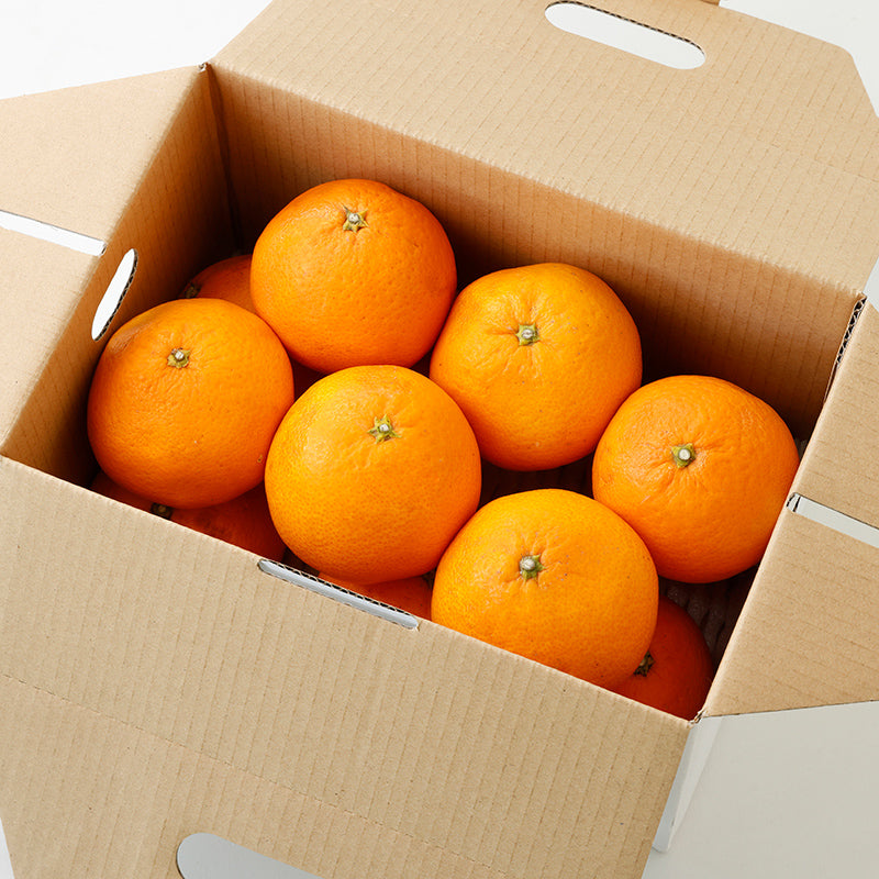 清見【3㎏/5㎏/10㎏】予約・4月~5月発送〈柑橘ソムリエ愛媛〉