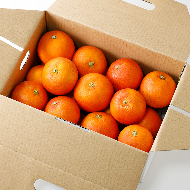 ブラッドオレンジ(タロッコ)【3㎏/5㎏/10㎏】予約・3月発送〈柑橘ソムリエ愛媛〉