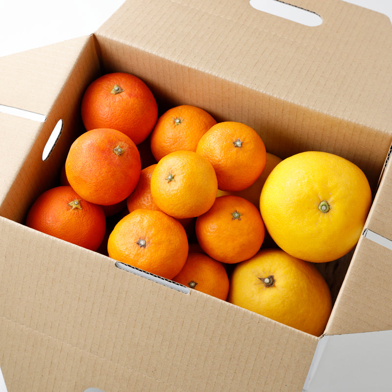 おまかせセット【3㎏/5㎏/10㎏】予約・1月中旬~4月発送〈柑橘ソムリエ愛媛〉