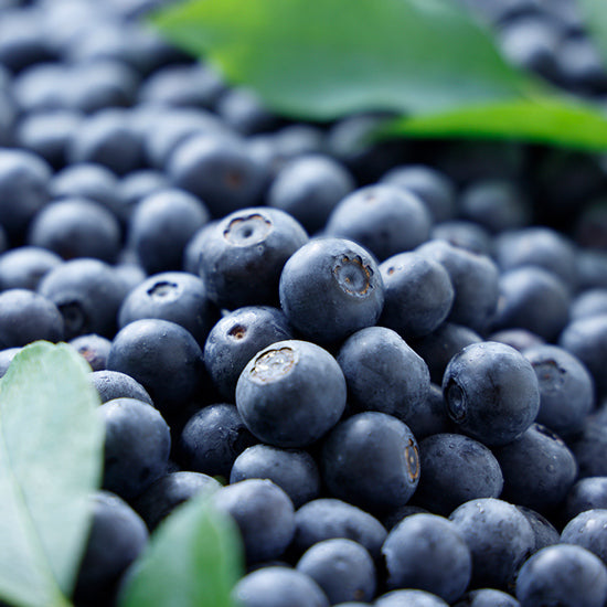 完熟冷凍媛ベリー【1kg】〈森のともだち農園〉 – ハーベスト