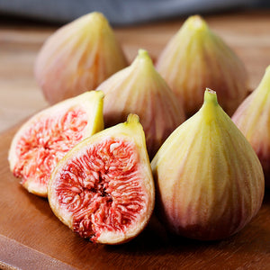 日本いちじく【4パック】〈茨木農園〉 – ハーベスト