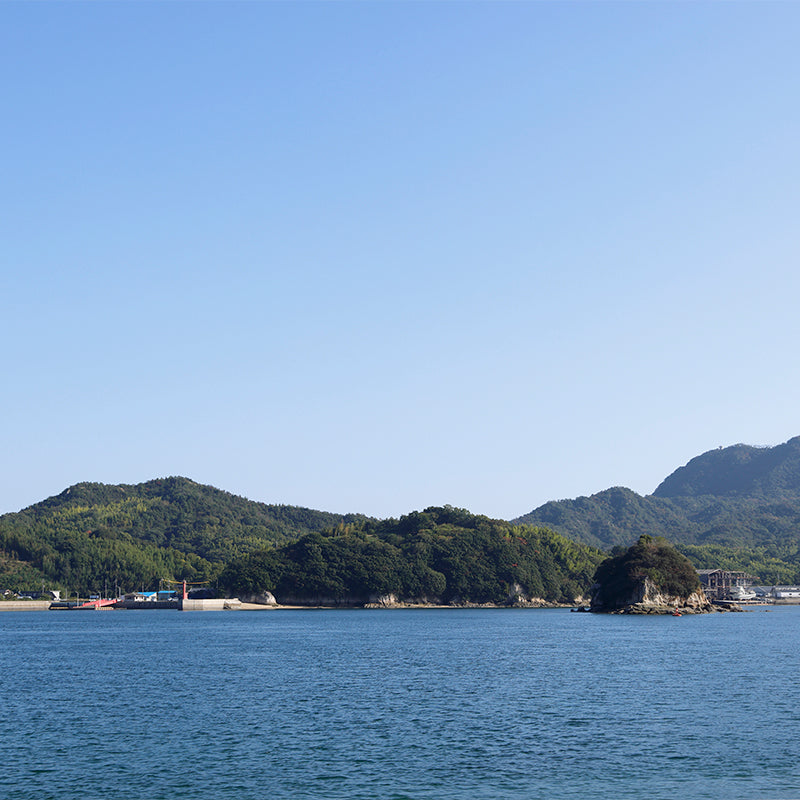 岩城島産レモン【2kg】〈いわぎ物産センター〉