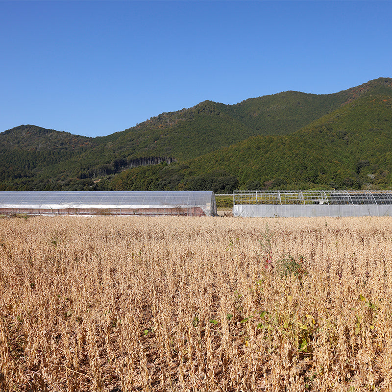 ハーベスト』オリジナルセット 〈豆道楽〉