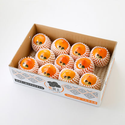 媛富士A（渋抜き富士柿 大玉）【贈答用／家庭用】　〈丸京農園〉