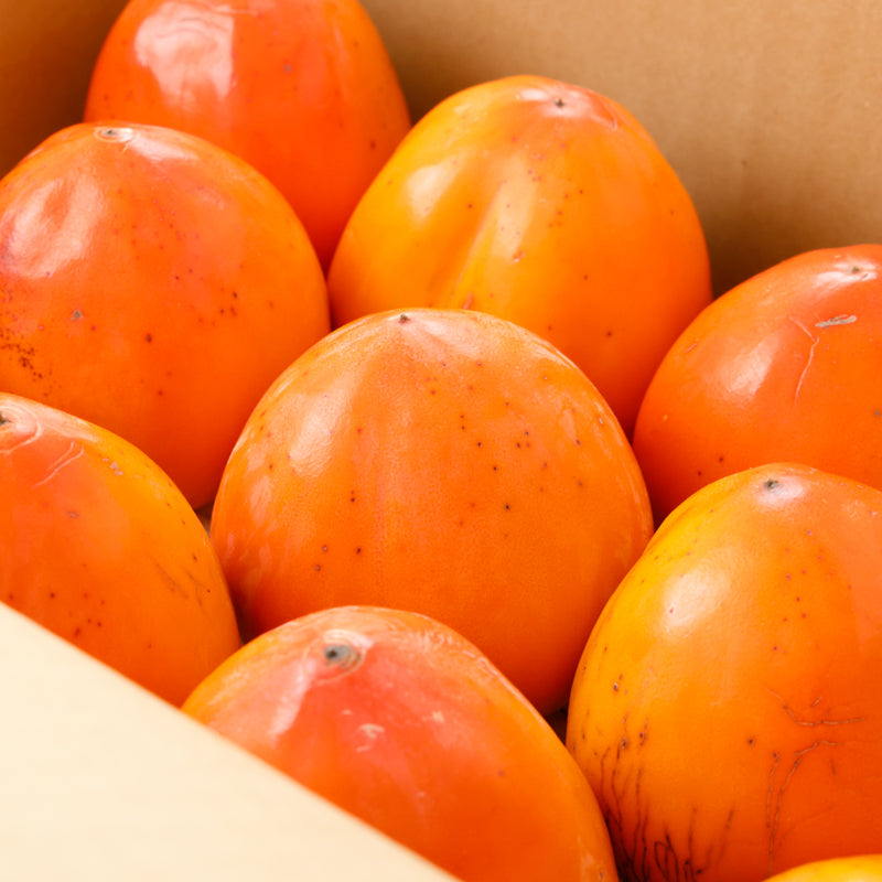 媛富士A（渋抜き富士柿 大玉）【贈答用／家庭用】　〈丸京農園〉