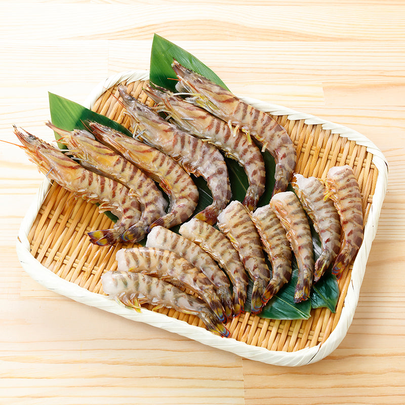 冷凍いきな車えび【有頭4～7尾、無頭6～10尾】〈日輪養魚〉