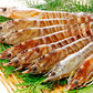 活きいきな車えび【8尾】〈日輪養魚〉