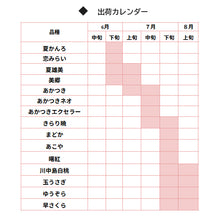画像をギャラリービューアに読み込む, 桃カレンダー

