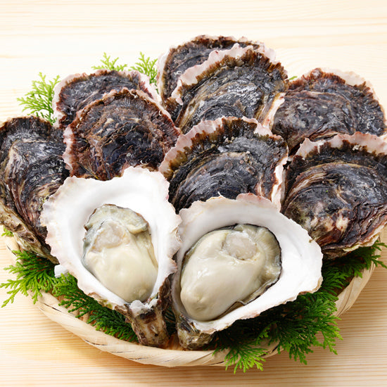 蒋淵岩牡蠣【Lサイズ 10個セット】〈蒋淵岩牡蠣養殖組合〉