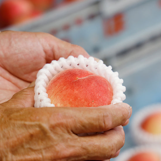 桃蓮玉 蓮玉ローソク 白 | 蓮型ローソク | ローソク | 神仏用ローソク・お線香