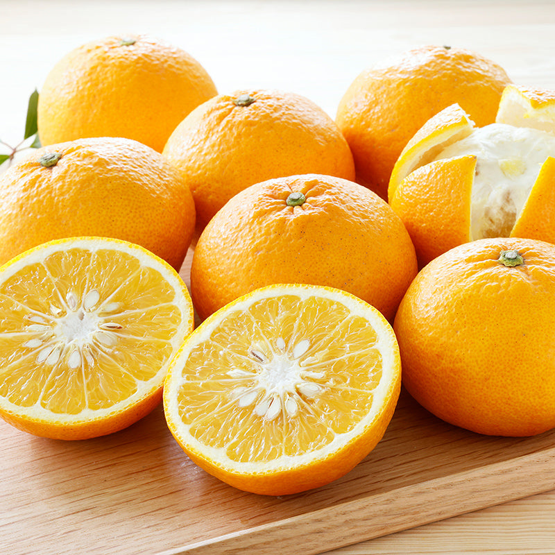 甘夏【5㎏/10㎏】予約・3月発送〈柑橘ソムリエ愛媛〉