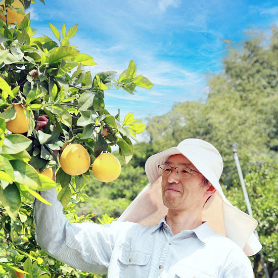 紅花娘ジュース【3本】〈フレッシュつちやま〉