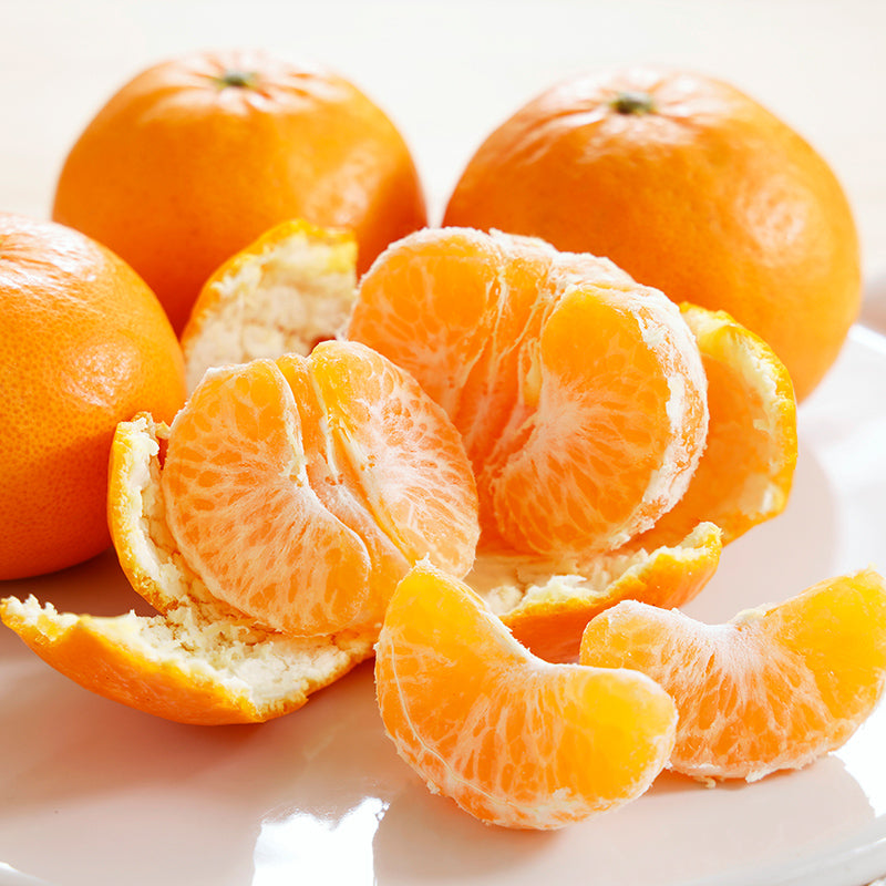 はれひめ【3㎏/5㎏/10㎏】予約・1月発送〈柑橘ソムリエ愛媛〉