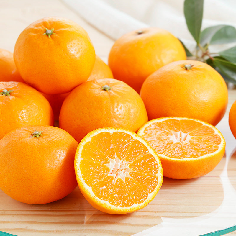 はれひめ【3㎏/5㎏/10㎏】予約・1月発送〈柑橘ソムリエ愛媛〉