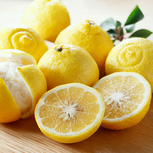 はるか【3㎏/5㎏/10㎏】予約・2月発送〈柑橘ソムリエ愛媛〉