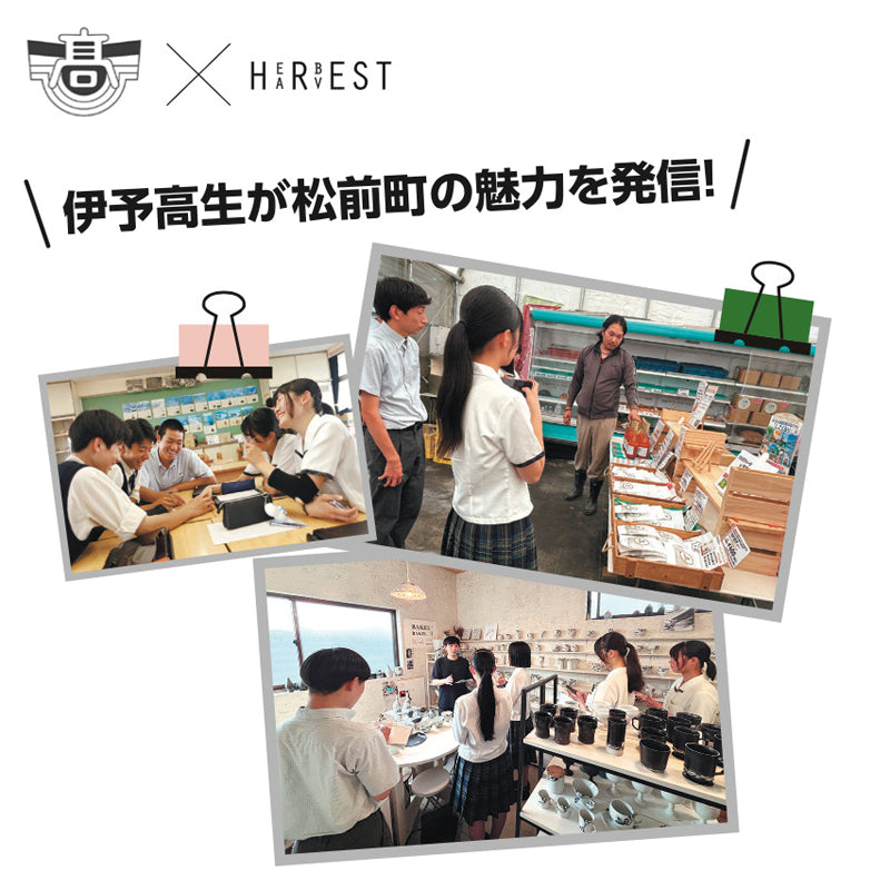 伊予高校×『ハーベスト』選べるギフトカード〈ハーベスト〉