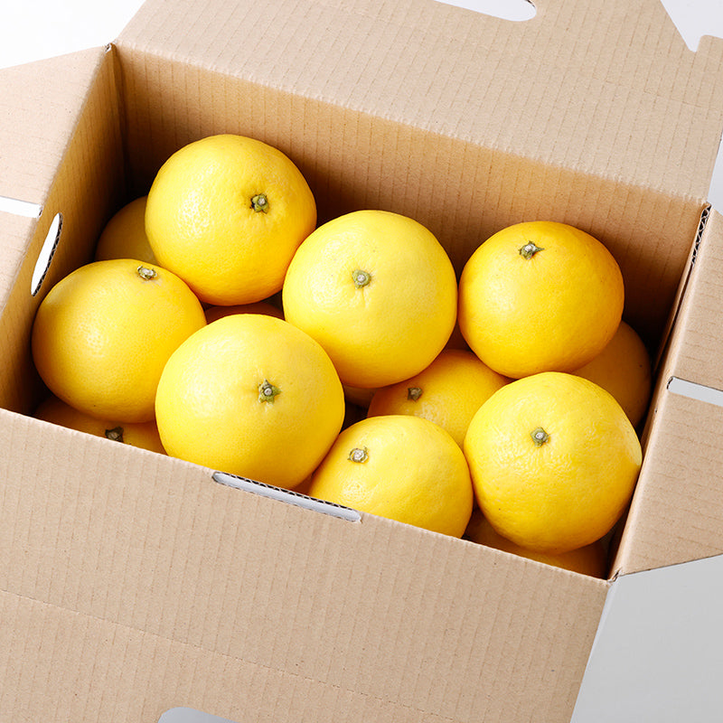 日向夏【3㎏/5㎏/10㎏】予約・5月～6月発送〈柑橘ソムリエ愛媛〉