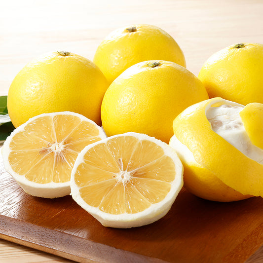 日向夏【3㎏/5㎏/10㎏】予約・5月～6月発送〈柑橘ソムリエ愛媛〉