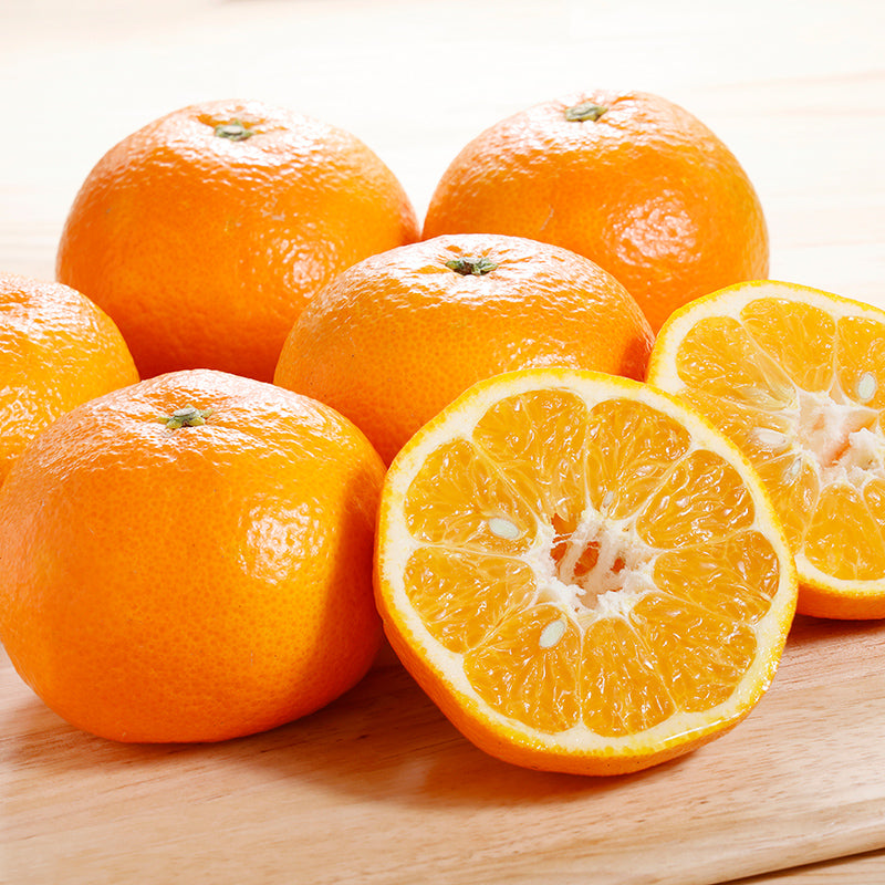 伊予柑【3㎏/5㎏/10㎏】予約・1月～2月発送〈柑橘ソムリエ愛媛〉