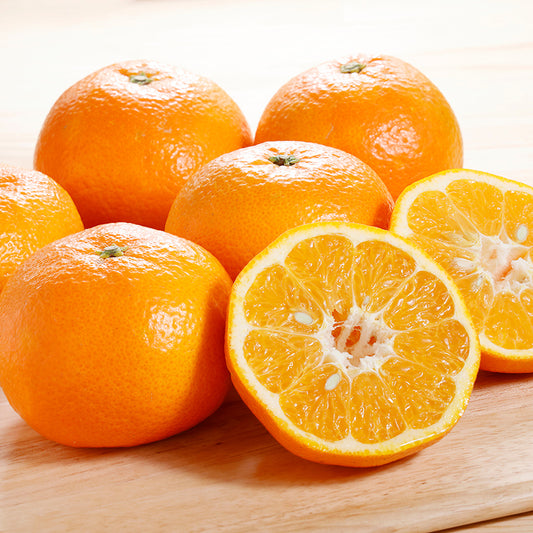 伊予柑【3㎏/5㎏/10㎏】予約・1月～2月発送〈柑橘ソムリエ愛媛〉