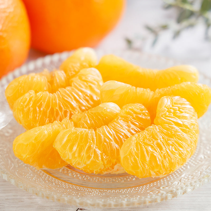 伊予柑【3㎏/5㎏/10㎏】予約・1月～2月発送〈柑橘ソムリエ愛媛〉