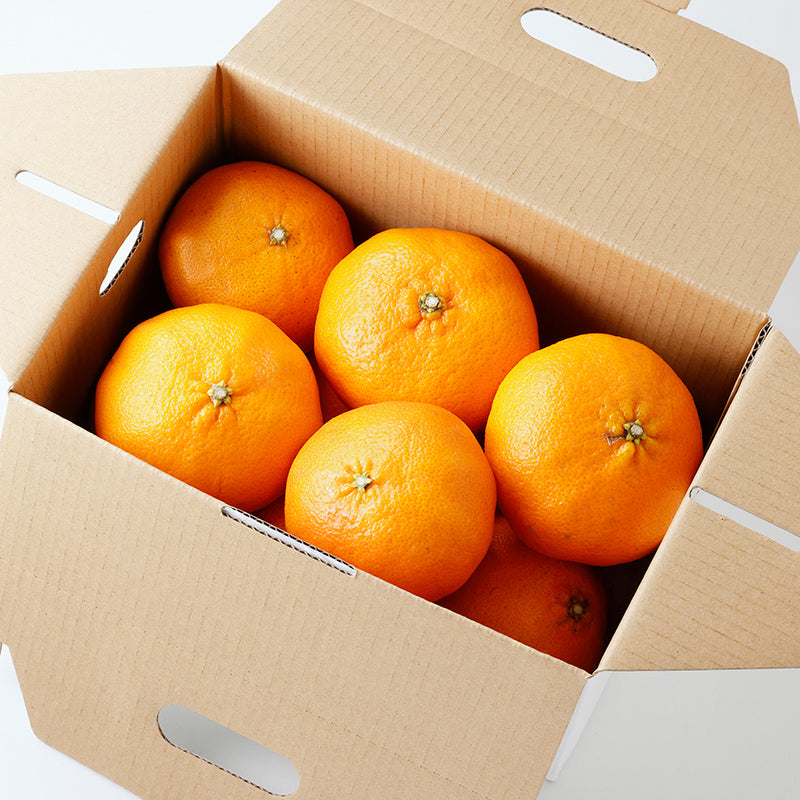 甘平【3㎏/5㎏/10㎏】予約・2月発送〈柑橘ソムリエ愛媛〉