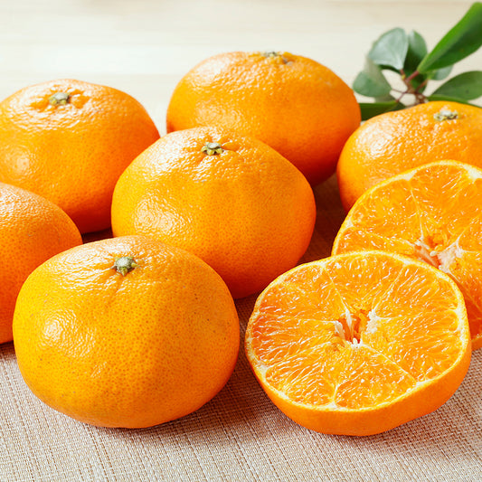 甘平【3㎏/5㎏/10㎏】予約・2月発送〈柑橘ソムリエ愛媛〉