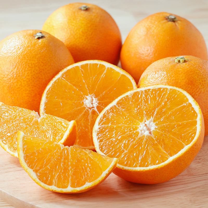 愛媛果試第28号【3㎏/5㎏/10㎏】予約・11月下旬～12月中旬発送〈柑橘ソムリエ愛媛〉