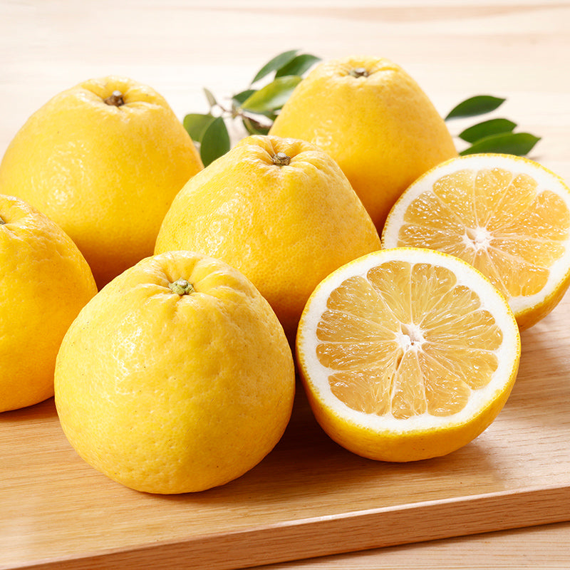 河内晩柑【5㎏/10㎏】予約・4月～6月発送〈柑橘ソムリエ愛媛〉