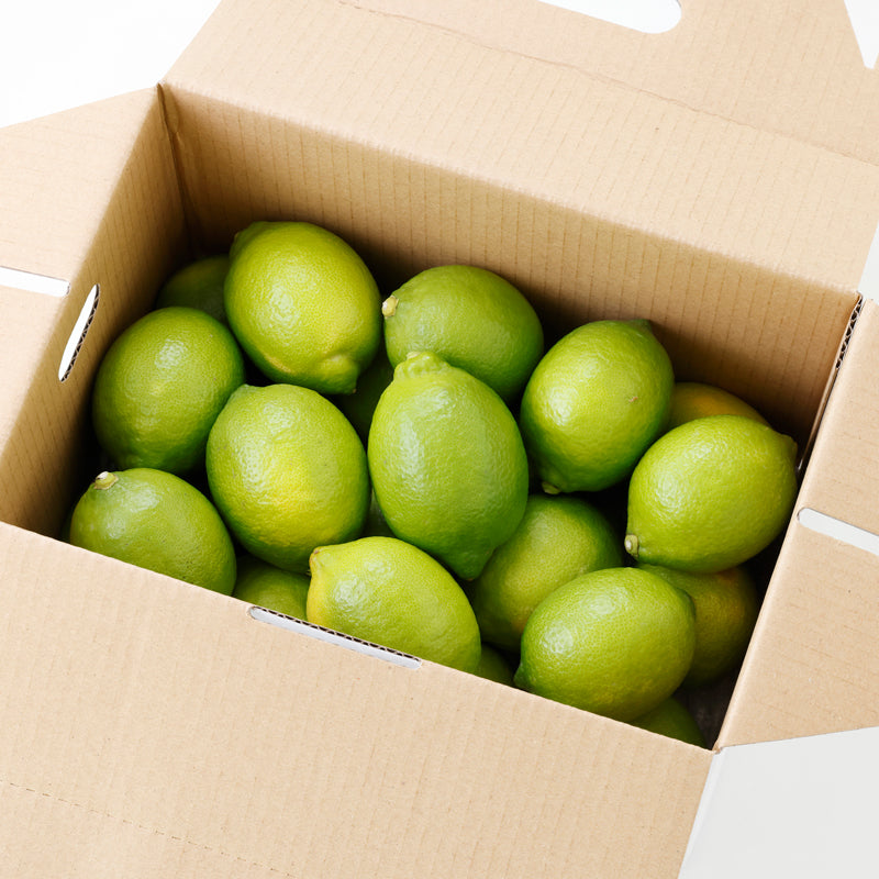 レモン【3㎏/5㎏/10㎏】予約・10月～5月発送〈柑橘ソムリエ愛媛〉