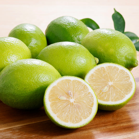 レモン【3㎏/5㎏/10㎏】予約・10月～5月発送〈柑橘ソムリエ愛媛〉