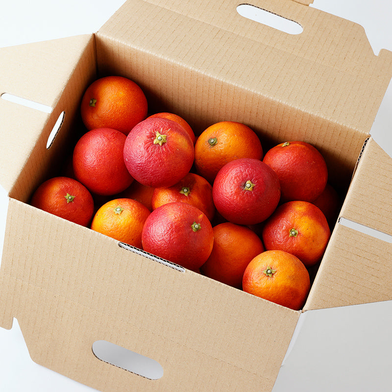 ブラッドオレンジ(モロ)【3㎏/5㎏/10㎏】予約・2月発送〈柑橘ソムリエ