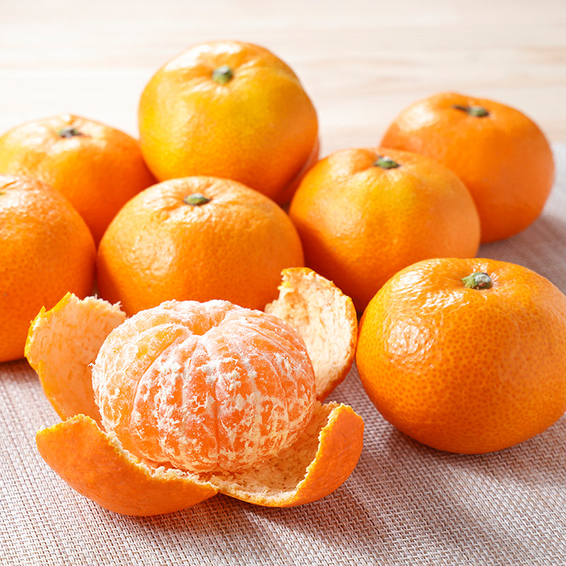 温州みかん(南柑20号)【3㎏/5㎏/10㎏】予約・12月発送〈柑橘ソムリエ愛媛〉