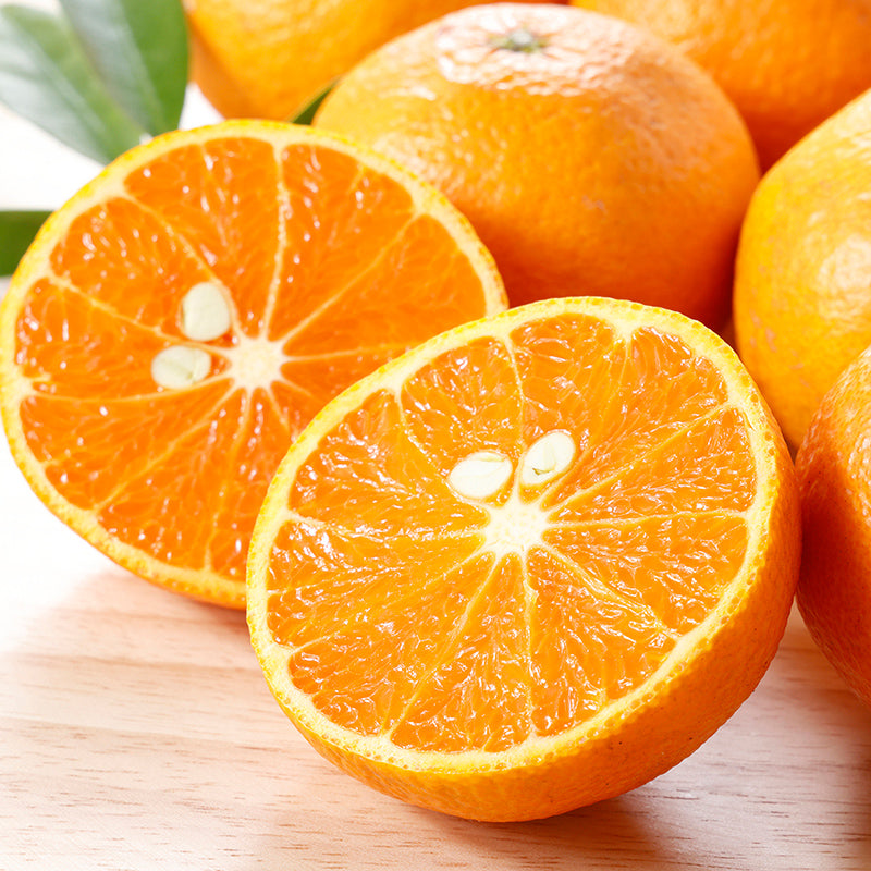 南津海【3㎏/5㎏/10㎏】予約・4月発送〈柑橘ソムリエ愛媛〉