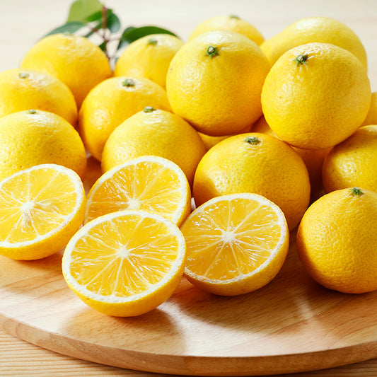 黄金柑【3㎏/5㎏/10㎏】予約・2月～3月発送〈柑橘ソムリエ愛媛〉