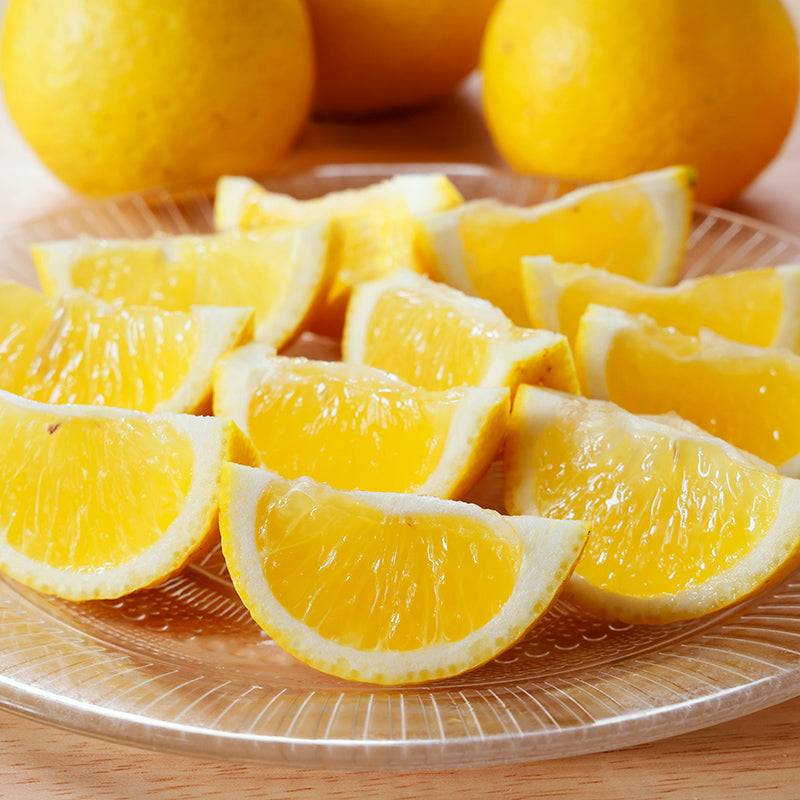 黄金柑【3㎏/5㎏/10㎏】予約・2月～3月発送〈柑橘ソムリエ愛媛〉