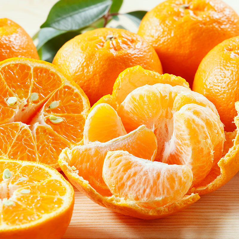 ポンカン【3㎏/5㎏/10㎏】予約商品・1月～2月発送〈柑橘ソムリエ愛媛〉