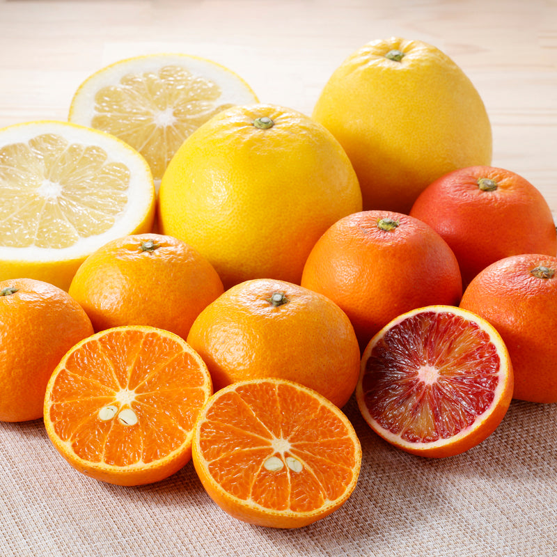 かんきつ – ハーベスト