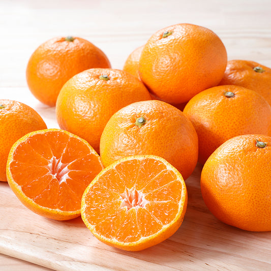 温州みかん(早生)【3㎏/5㎏/10㎏】予約・11月～12月発送〈柑橘ソムリエ愛媛〉