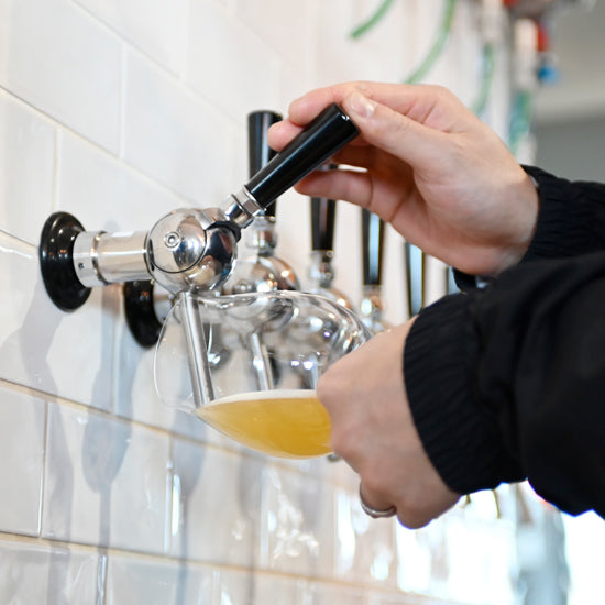 クラフトビールセット【4本】〈HOJO Brewing ＆ Stays〉