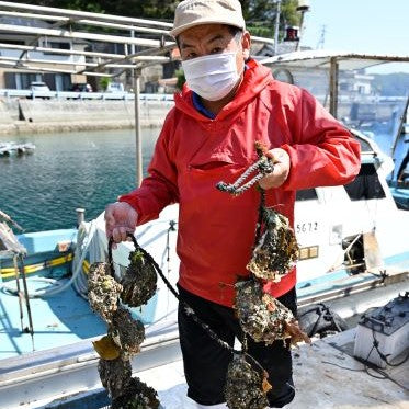 蒋淵岩牡蠣【Lサイズ 10個セット】〈蒋淵岩牡蠣養殖組合〉